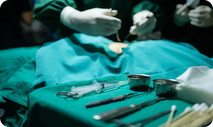 Farma & Biotechnologie